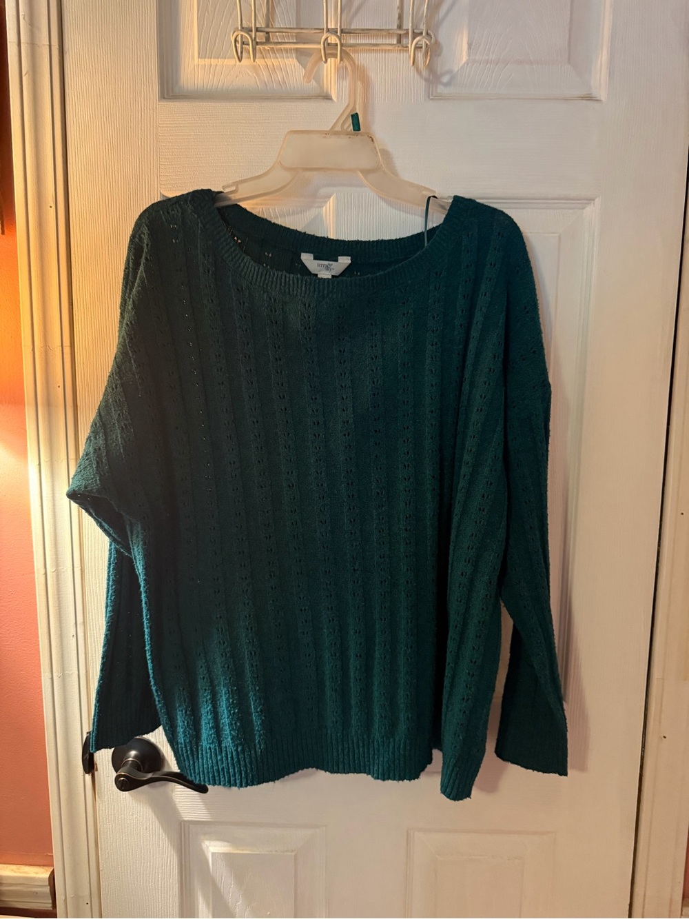 Terra & Sky Green Knit Sweater - Crewneck Pullover